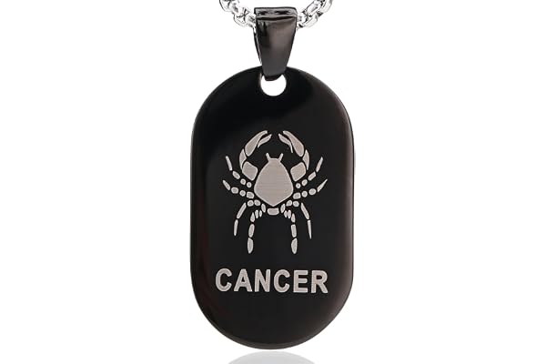 DonDon Collier Unisex avec Signe du Zodiaque en Acier Inoxydable 52 cm argenté et Noir dans Une Pochette de Velours