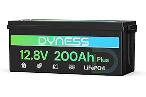‎DYNESS Dyness 12V 200Ah LiFePO4 Lithium Batterie mit 200A BMS und Tieftemperaturschutz, 2560Wh Lithium Marine und Wohnmobilbatterie, ideal für Solaranlagen, Wohnwagen und netzunabhängige Anwendungen