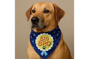 Lana Paws cotton Big Brother (Big Bro) Adjustable Dog Bandana/Dog Scarf (Size M-L), blue, 1 Count