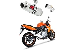 DOMINATOR Pot d'échappement Silencieux GP1 compatible avec ER-6 N/F 650 2006-2008