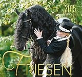 Image de Friesen Kalender 2015: Schwarze Perlen Frieslands