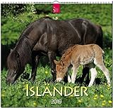 MF-Kalender ISLÄNDER 2019 by