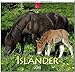 MF-Kalender ISLÄNDER 2019 by