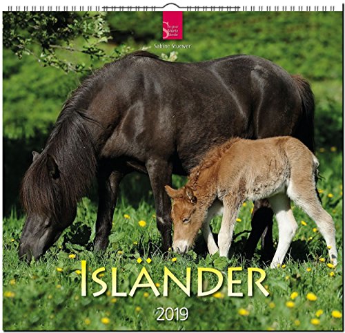 MF-Kalender ISLÄNDER 2019