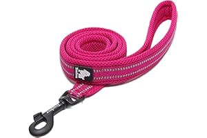 WINHYEPET True Love Dog Leash Nylon Reflective Comfortable Handle Lead Puppy Training Walking Rope Easy Control Suitable Small Medium Large Breeds 110cm Length TLL2111(Fushcia,S)