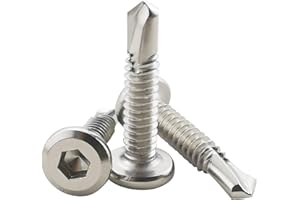 Fajoeda 60 Stück Flachkopf Innensechskantschrauben Bohrschrauben,410 Edelstahl 5.5 X 25mm Selbstschneidende Schraube(16mm bis 38mm verfügbar,Silber)