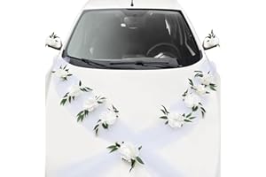 Meanju Decoración para Coches de Novios,Decoración para Coche de Organza,Decoración para Coche de Novia,Guirnalda Decorativa para Coche,Decoración para Coche de Boda