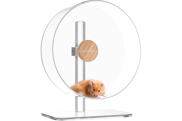 BUCATSTATE Roue pour Hamster Silencieuse 32cm, Roue d'exercice à Double Roulement pour Hamster Syrien/Nain, Gerbilles, Souris et Autres Petits Animaux(Transparent)
