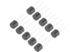 QUARKZMAN Fusibile Micro Lento T2A 2A 250V 10Pz Långsam blåsning