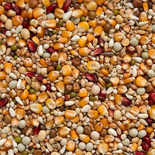 Preisvergleich Produktbild 25kg Beyers Long Distance TT Galaxy