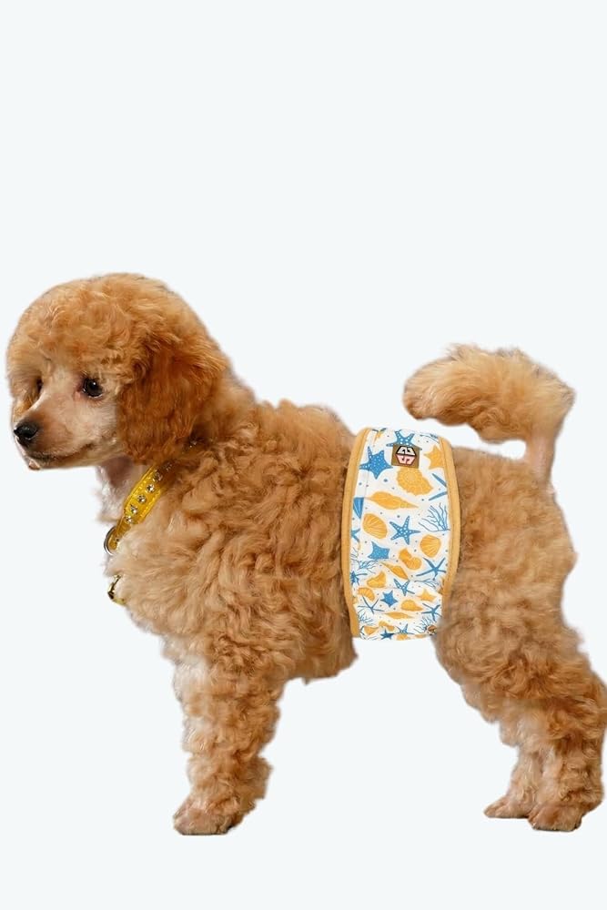 Erkek köpek çiş bezleri, 3'lü Avantajlı paket, 1 paket 3 farklı desen (Ocean, Large)