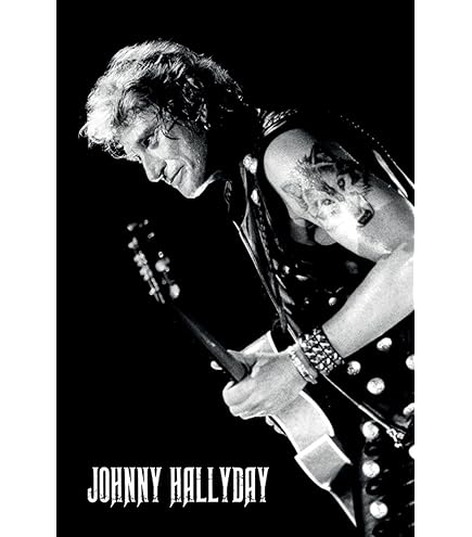 Calendrier Posters Johnny Hallyday 1995 - Complet - 12 Posters 42x30 Cm - France