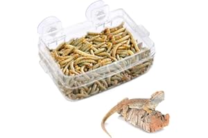 HEEPDD Comedero para reptiles, comedero antideslizante transparente con ventosa para gusanos, cuenco de alimentación para reptiles anfibios para lagartos camaleones Gecko