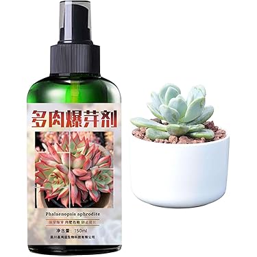 Concime Biologico BIOBOB Per Piante Grasse - 10 Fialette Da Diluire, 100% Naturale, Pet Friendly - Foto 6