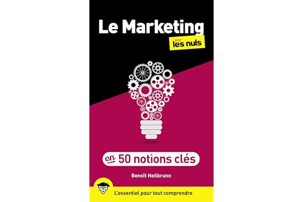 50 notions clés de marketing pour les Nuls, 2e