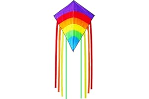 Telidif Rainbow Kite, Easy to Fly Rainbow Delta Kite with Colorful Tail, Outdoor Beach Toys, Perfect Beginner for Kids & Adults, Kites and Flying Toys for Fun Family Activities