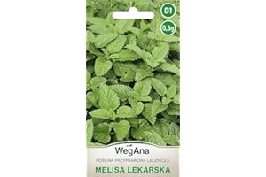 WegAna Semillas de Toronjil 0,3g Melissa Officinalis Melissa Plantas Medicinales Robustas Semillas de Hortalizas Semillas de Hortalizas Semillas de Cultivo Hierbas de Cocina Hierbas de Balcón y Jardín