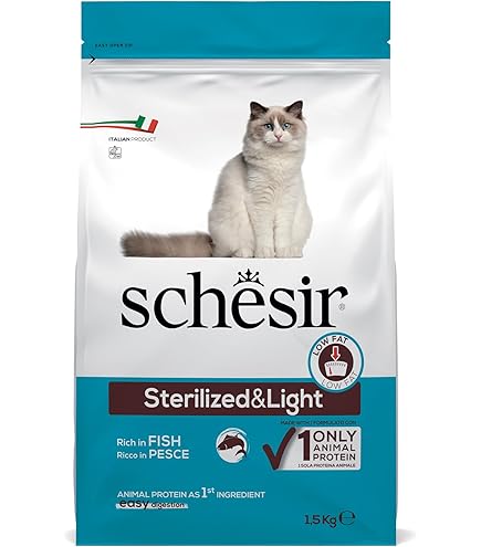 SCHESIR Maintenance Con Cordero Para Gato Adulto