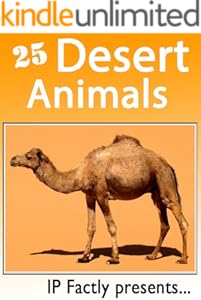 kindle best category lists