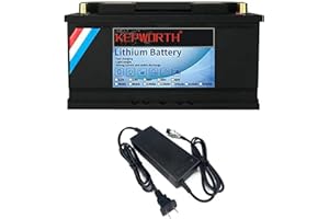 Batterie LifePo4 12v 100Ah 3000-7000 Cycles Profonds avec Fer au Lithium BMS pour Moteur de pêche à la traîne Panneaux solaires RV Appareils Bateau Chariots de Golf Marins avec Chargeur