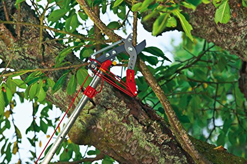 WOLF-Garten multi-star® Amboss Profi-Baumschere RC-VM; 7200000 - 3