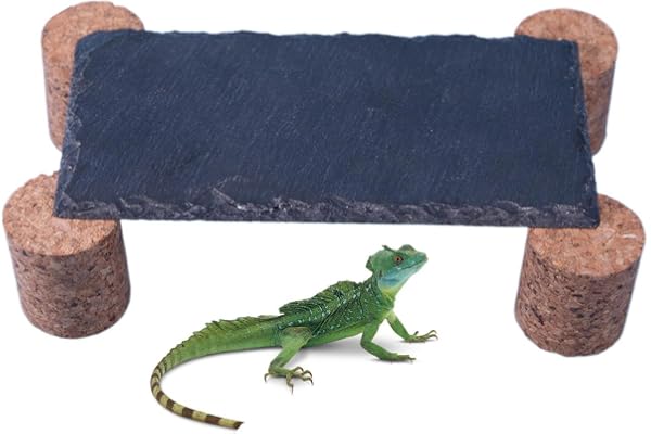 Baskning stenar för skäggiga drakar skiffer grotta vilande hylla kork | Natursten och korkbaskande sten ger UV-hälsa och stressreducerande grottskydd för reptiler och amfibier