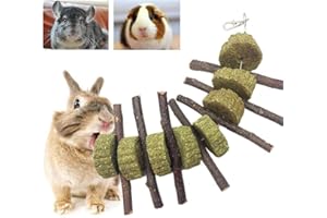 PeSandy Bunny Chew Toys for Teeth, Organic Apple Wood Molar Sticks with Timothy Hay Circles for Bunny Chinchilla Guinea Pig Hamsters Holland Lop Prairie Dogs Squirrels Gerbils, Improves Dental Health