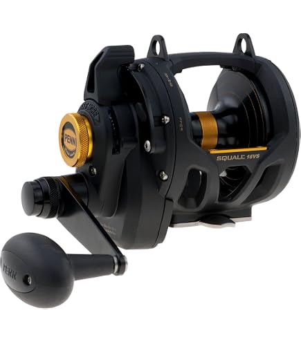 Daiwa - Fishing Reel Saltist 2018 35 H - SLT1835H : Amazon.de: Sports & Outdoors Daiwa - Fishing Reel Saltist 2018 35 H - SLT1835H : Amazon.de: Sports & Outdoors