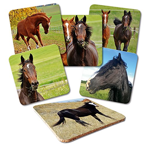 Addies Glas-Untersetzer 6-tlg.Set bedruckt Motiv "Pferde" Komplett-Set in hochwertiger Klarsicht-Geschenkbox und Korkrückseite, Tier-Motiv