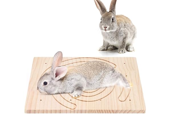 Conseil de grattage de Griffes, Griffes en Bois de Lapin de Hamster d'animal familier Conseil de grattoir en Bois de Griffes pour l'accessoire de Cage de Jouet