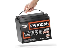 Humsienk Batteria Litio 12V 100Ah Max Plus con 110A BMS, Protezione Dalle Basse Temperature, Max. 15000 cicli, Batteria LiFePO4 12V per Camper, Impianti Solari off-grid, Fotovoltaico Accumulo