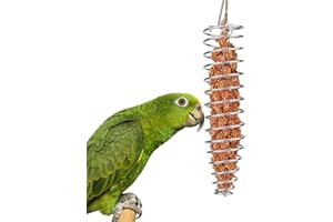 Hypeety Bird Foraging Feeder Parrot Treat Fruit Vegetable Holder Seed Feeder for Parakeet Cockatiel Conure African Grey Cockatoo Macaw Amazon Lovebird Finch Canary Rat Chinchilla Guinea Pig Basket
