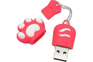 DONWEI Chiavetta USB,64GB Pen Drive USB 2.0,Mini Flash Drive Adorabile,USB Stick ad Alta Capacità,Creativo Penna USB Con Zampa di Gatto,Memory Stick-Rosa Chiavetta Usb Regalo