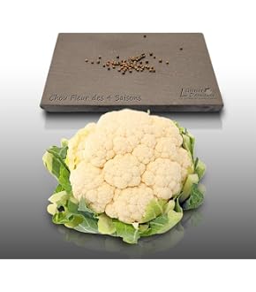 Graines De Laitue Pommée Rougette De Montpellier - 500 Graines - Variété Ancienne, Hiver Précoce - Idéal Pour Salades Croquantes