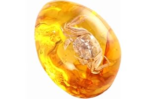 Funrelaxer Ambra fossile con insetti campioni di pietre campioni di cristallo Specimen insetto ciondolo ambra gioielli fai da te