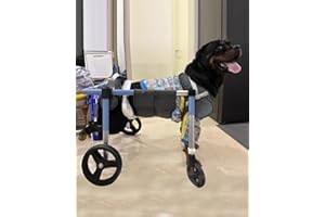 ENHEN Rollstuhl für Hunde Verstellbarer 2/4-Räder-Rehabilitationswagen für Hunde, XS-XXL, Rehabilitationswagen für Kleine/Große Haustiere mit Gelähmten Hinterbeinen, Gehhilfe zum Heben Von Katzen(M)