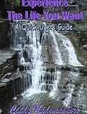Image de Experience The Life You Want: A Quick User Guide (English Edition)