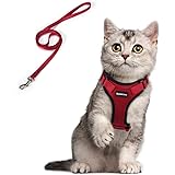 Trixie Harnais Pour Voiture Pour Chat Rouge 50 Cm 15 Mm Amazon Fr Animalerie