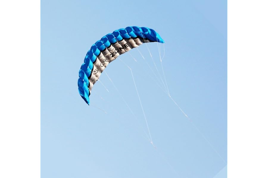 Kwasyo 2.5m Parafoil Kite Outdoor Sports Dual Line Stunt Parachute Beach Kites with Handle 30m Line
