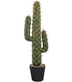 monstera podpory Moss Pole 2-Pack 28 Inch | Coco Coir Plant Stick for Monstera Pothos Philodendron Support main image 0