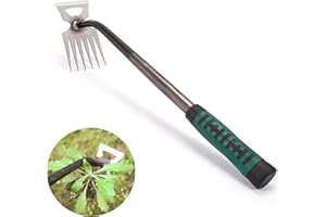 Dzpuhuojz Unkraut Entferner Gerät, Hand Unkrautstecher, Gartenarbeit Unkrautjäter mit stiel, Draussen Gartengeräte, Gartenwerkzeug, Fugenreiniger Unkraut, 6 Zähne Gartenkralle mit Gummigriff