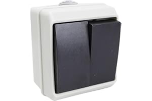 ELAELA Interruptor doble exterior impermeable SERIE IP 54 16A-250V. (2 INTERRUPTOR)