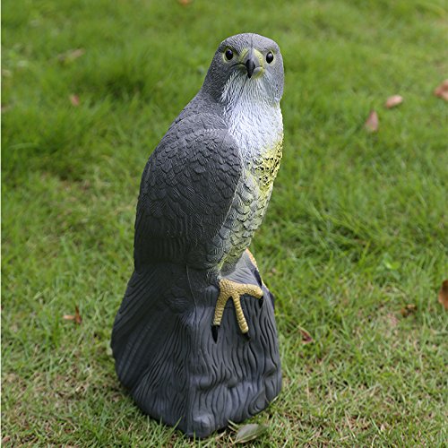 Gazechimp Lockvogel Vogel Vogelscheuche Scarer Garten Dekoration - 5