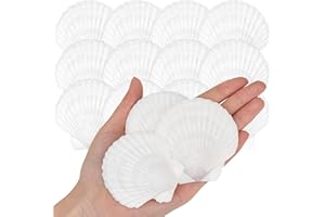 SKOOLOVE 25PCS White Scallops Shell 5-7.5CM Seashells Large Natural from Sea Beach Seashells for Wedding Decor Beach Theme Party Fish Tank