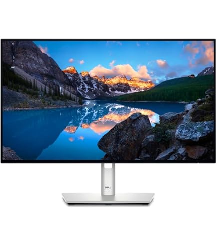 Dell P2422HE USB-C HUB LCD 24-Inch Monitor, Black/Silver : Amazon