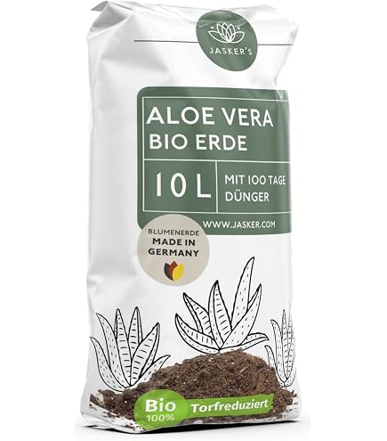 BIO Echte Aloë Vera, 2 Stück ║ Sehr Pflegeleich Produktbild-Vorschau 12