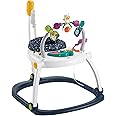 Fisher-Price Astro Kitty SpaceSaver Jumperoo Infant Activity Center