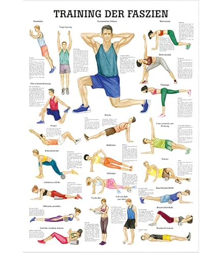 Mini Poster Anatomico Muscoli Spalla - 34x24 Cm - Didattico Per Body Building E Allenamento Forza