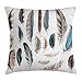 Produktbild hat pillow Feather House Decor case Western Feather Setting Pigmented Bird Body Parts Growth Nature Art Design 18 X 18 inches