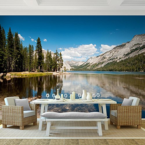 Fototapete Berge 352 x 250 cm – Vliestapete – Wandtapete – Vlies Phototapete – Wand – Wandbilder XXL – !!! 100% MADE IN GERMANY !!! Runa Tapete 9100011a - 2